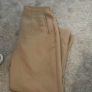 Zara Skinny Pant